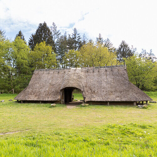 Ijzerentijdboerderij_Celtic Fields_Lunteren